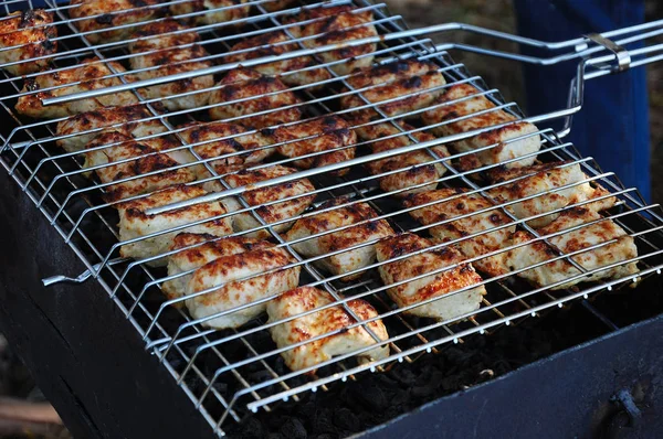 Chicken Meat Grilled Nature — 图库照片