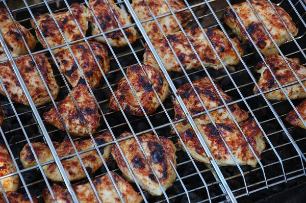 Chicken Meat Grilled Nature — 图库照片