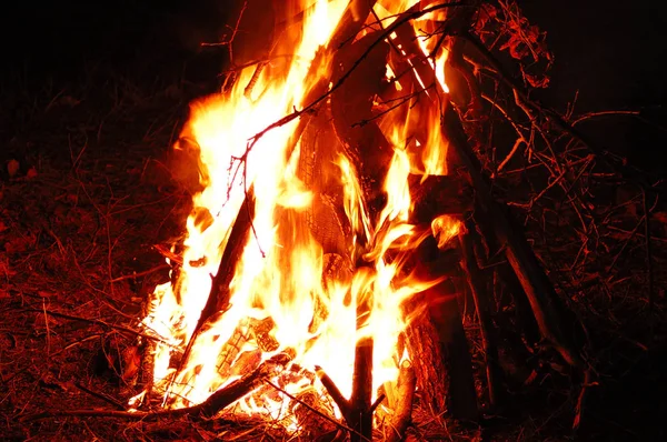 A large bonfire in the dark at night in the forest.
