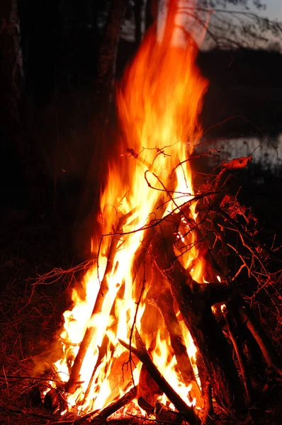 A large bonfire in the dark at night in the forest.