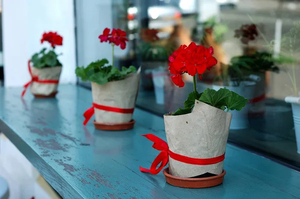 Several red geranium flowers in beautiful pots on the windowsill.