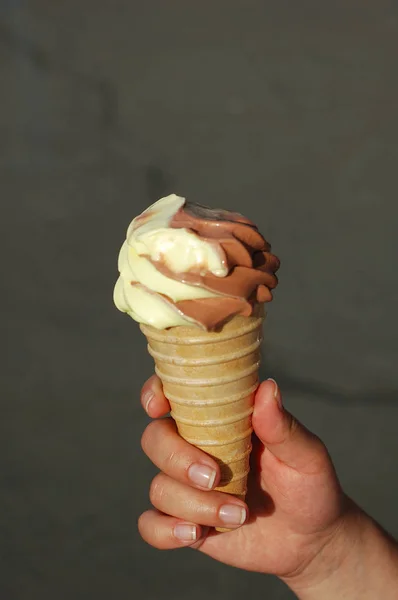 A beautiful two-tone ice cream in the shape of a horn in her hand.