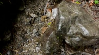 Dağ bahar ve küçük bir dere kapat.