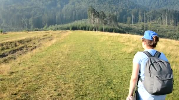 Κορίτσι Περπατώντας Ένα Μονοπάτι Στο Βουνό — Αρχείο Βίντεο