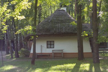 Ormandaki eski Ukraynalı kil ev.