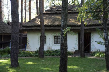 Ormandaki eski Ukraynalı kil ev.