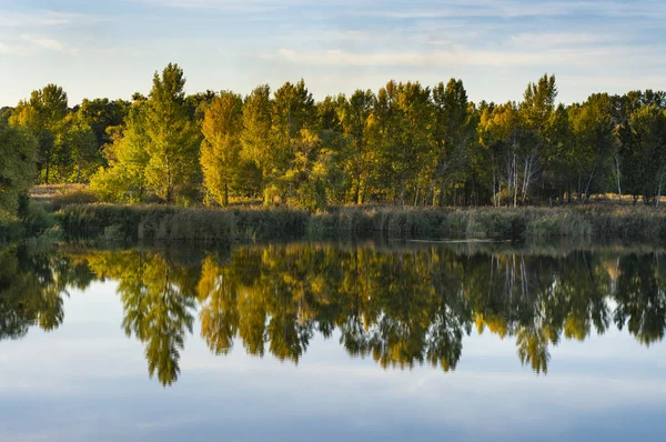 Herfst Landschap Een Multi Gekleurde Forest Weerspiegeld Het Water — Stockfoto