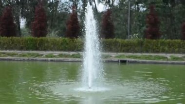 Parkta sıradan bir çeşme.