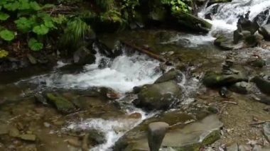 fırtınalı bir dağ nehir akış taşlar streams
