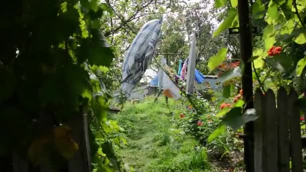 Yıkama Giysileri Bahçe Rüzgar Içinde Çırpınan Kurutulur — Stok video