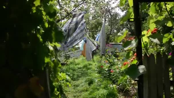 Laver Les Vêtements Sont Séchés Dans Jardin Flottant Dans Vent — Video