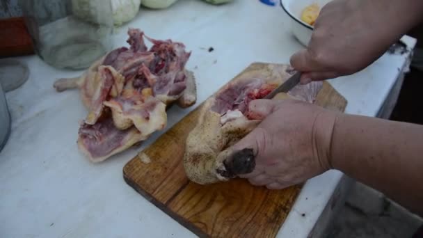 Tierkadaver Aus Nächster Nähe Zerschneiden — Stockvideo