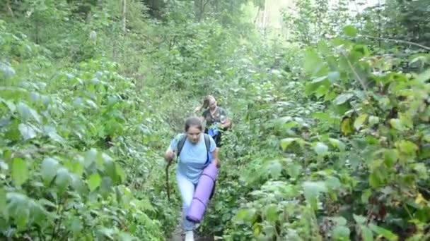 女孩们在灌木丛中沿着小路走去 — 图库视频影像