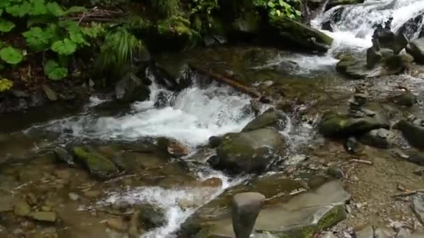 Θυελλώδης Ρεύματα Από Μια Ροή Του Ποταμού Στο Βουνό Πέτρες — Αρχείο Βίντεο