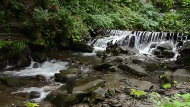 Stormachtige Stromen Van Een Stroom Van Rivier Berg Door Stenen — Stockvideo