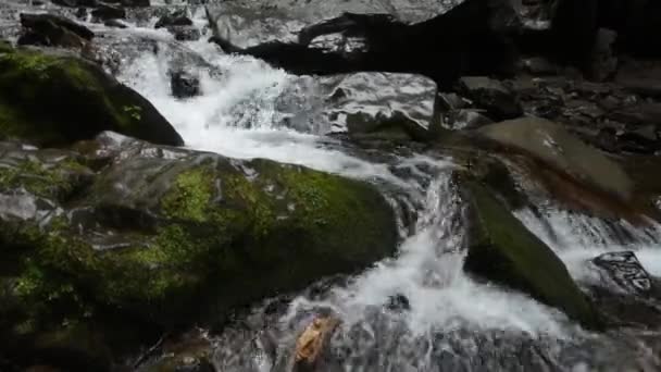 Stormachtige Stromen Van Een Stroom Van Rivier Berg Door Stenen — Stockvideo