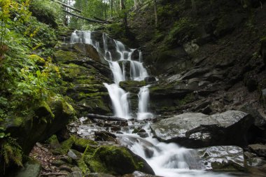 bir dağ orman büyük basamaklı şelale