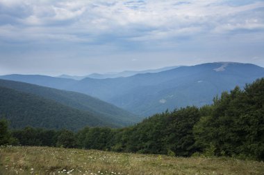 Yaz aylarında Karpat Dağları'nın güzel manzara.