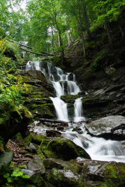 bir dağ orman büyük basamaklı şelale.