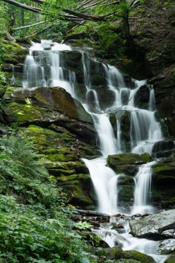 bir dağ orman büyük basamaklı şelale.