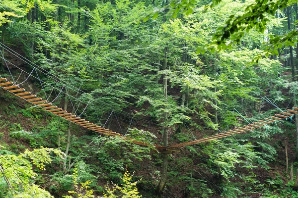 森の木々の中で高く結ばれたロープ橋 — ストック写真