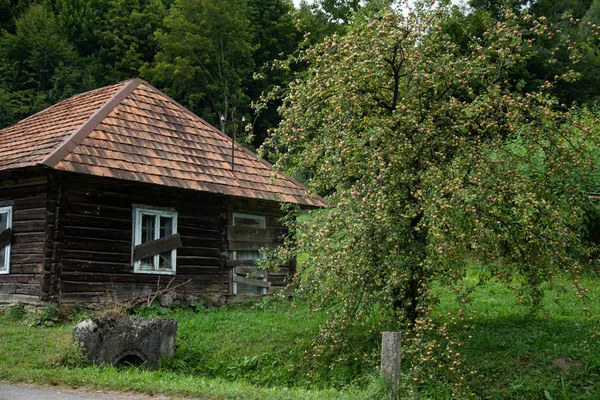 Holzhaus Dorf Auf Dem Hintergrund Von Bäumen — Stockfoto