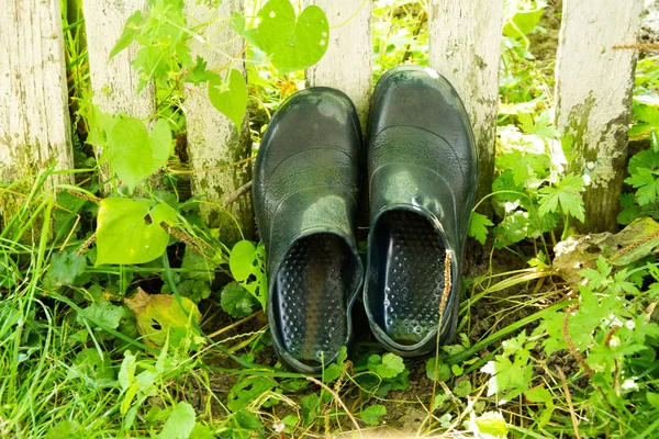 Bottes Caoutchouc Sont Séchées Dans Herbe Dans Jardin — Photo