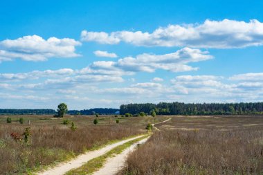 Basit kırsal peyzaj: büyümüş alan ve mavi gökyüzü.