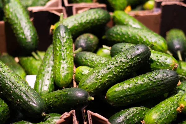 Viele Gurken Einer Schachtel Laden — Stockfoto