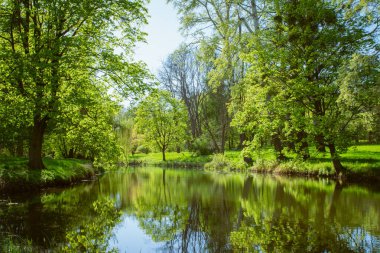 Nehrin etrafındaki parkta birçok ağaç Yaz güneşinin ışınlarında