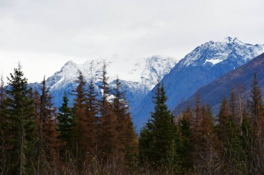 Kuzey Kartal Nehri 'nden Dağ Manzarası 