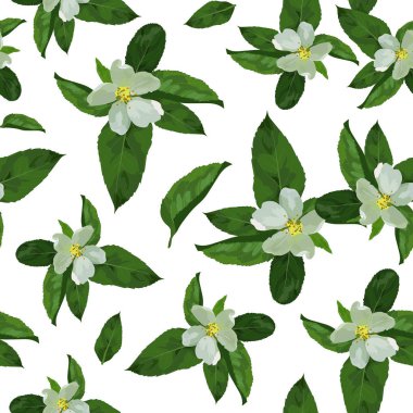 Çiçek açan elma ağacı. Beyaz çiçekler ve beyaz zemin üzerine yeşil yaprakları. Bahar seamless modeli.