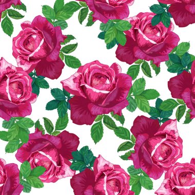 Güzel çiçek seamless modeli. Kırmızı ve pembe güller beyaz zemin üzerine yeşil yaprakları ile. Kumaşlar, tekstil, duvar kağıdı, scrapbooking için botanik vektör çizim.