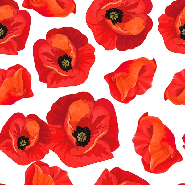 Coquelicots rouges sur un blanc — Image vectorielle