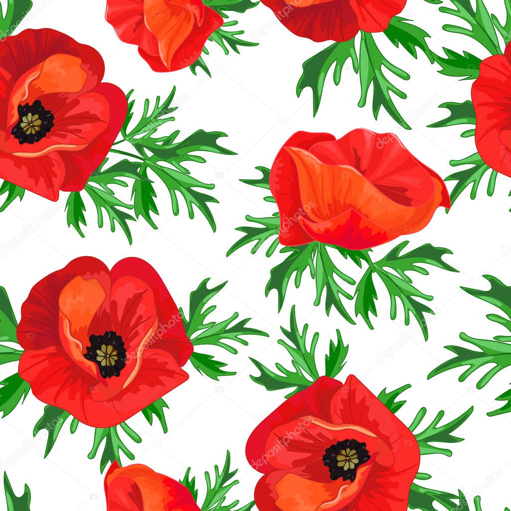 Red poppies and green leaves