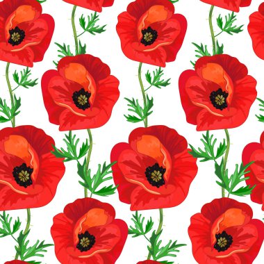 Kırmızı poppies, beyaz bir arka plan üzerinde yeşil yaprakları. Büyük parlak çiçekler ile çiçek seamless modeli. Yaz vektör çizim yazdırma Tekstil, kumaş, kağıt ambalaj için.