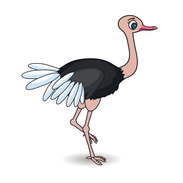 Cartoon Struts Med Fjädrar Afrikansk Fågel Den Isolera Bilden Vit — Stock vektor