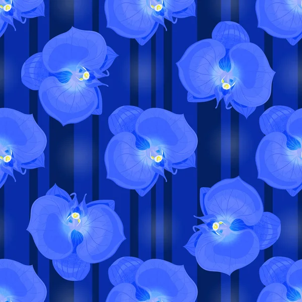Niebieskie Kwiaty Orchid Niebieskim Tle Pasiasty Jednolity Wzór Botanicznych Ilustracji — Wektor stockowy