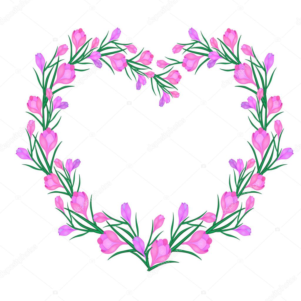 Vector illustration with frame of Crocus or saffron, hearts.floral wreath of flowers .Can be used as greeting cards,wedding invitations,Valentine s Day, birthday,spring or summer holiday.