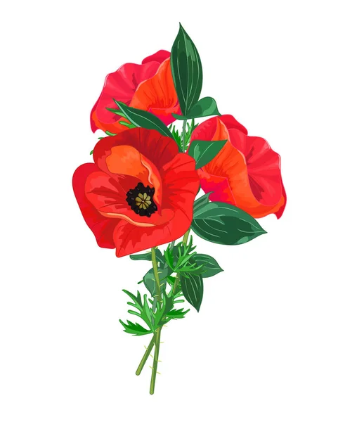 Summer Bouquet Greeting Card Red Poppies Green Leaves Flowers White — Stock Vector