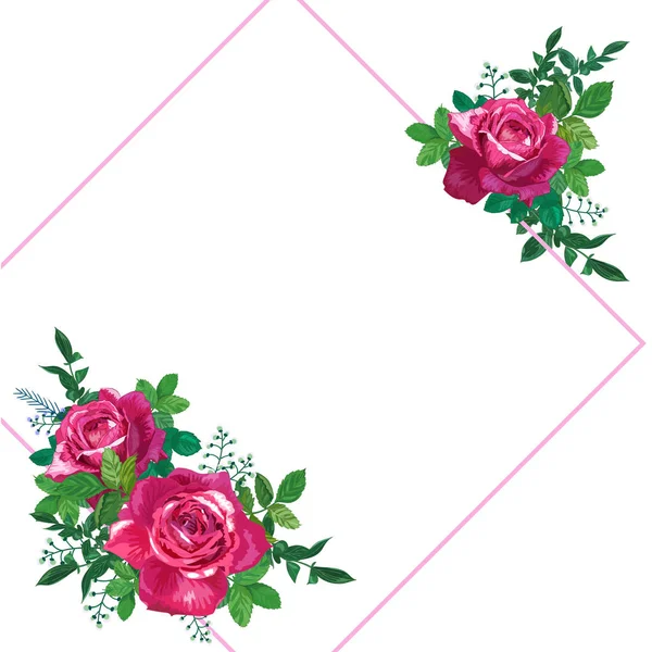 Rosas Rojas Con Hojas Verdes Fondo Blanco Ilustración Vectorial Con — Vector de stock