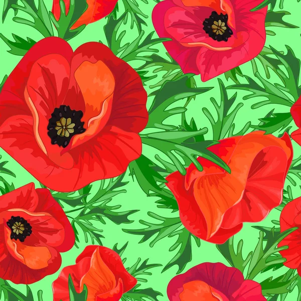 Coquelicots Rouges Feuilles Vertes Sur Fond Vert Motif Floral Sans — Image vectorielle