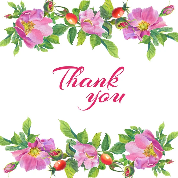 Ευχαριστούμε. Κορνίζα με ροζ Hip.Greeting κάρτα ακουαρέλα άγριων λουλουδιών — Φωτογραφία Αρχείου