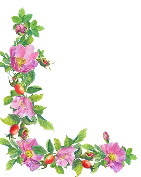 Aquarel kaart wilde rozen — Stockfoto