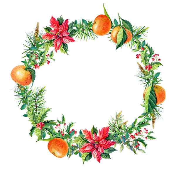 Aquarelle Couronne de Noël aux mandarines oranges, Fleurs de poinsettia rouges, Houx , — Photo