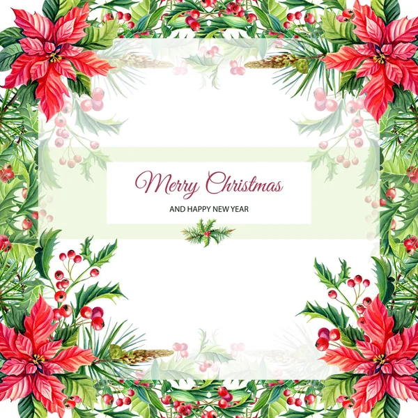 수채화 메리 크리스마스와 새 해 인사 카드 빨간 포 인 세 티아 꽃, 홀리, — 스톡 사진