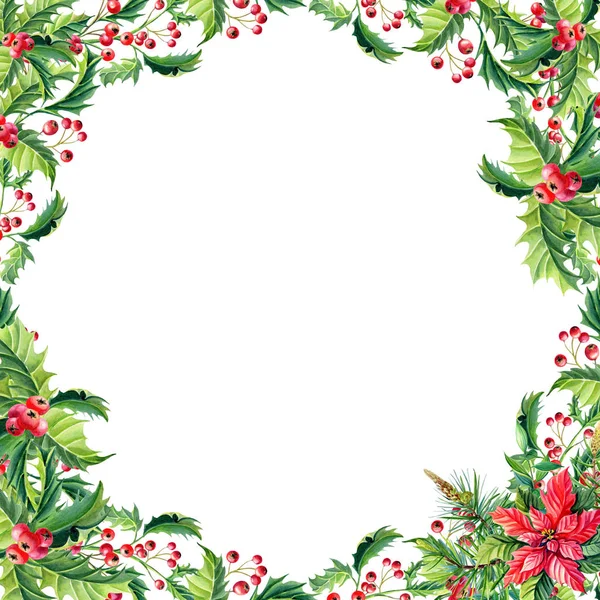 Aquarelle Cadre de Noël avec fleurs rouges poinsettia, houx, feuilles, baies, pin, épinette, brindilles vertes sur blanc — Photo
