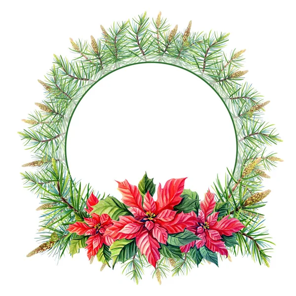 Watercolor Merry Christmas Wreath with Red poinsettia flowers, pine,spruce on white background. — Stock Photo, Image