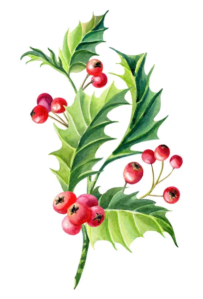 水彩花环圣诞卡与冬青和浆果的小枝。插图 — 图库照片