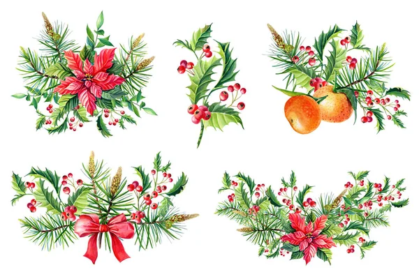 一套水彩快乐圣诞花束与红一品花, 冬青, 叶, 浆果, 松树, — 图库照片